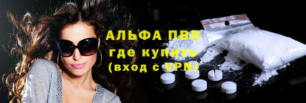 крисы Медвежьегорск