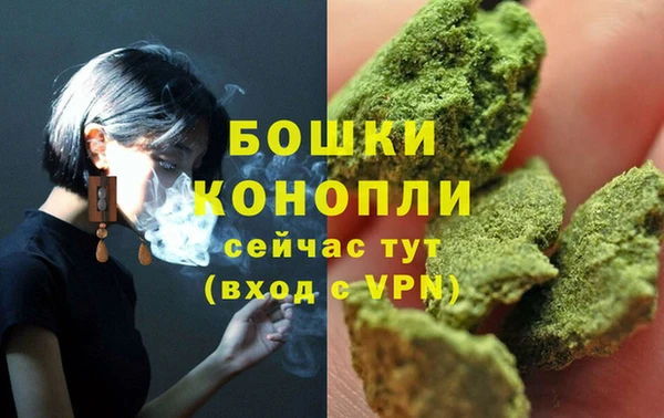 крисы Медвежьегорск