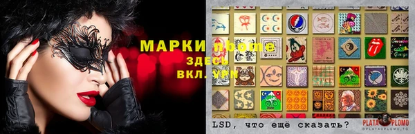 крисы Медвежьегорск