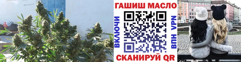 darknet наркотические препараты  Кирово-Чепецк  Дистиллят ТГК концентрат 