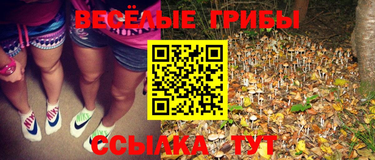 Кирово-Чепецк  Псилоцибиновые грибы Cubensis  Вход с VPN  Галлюциногенные грибы мицелий 